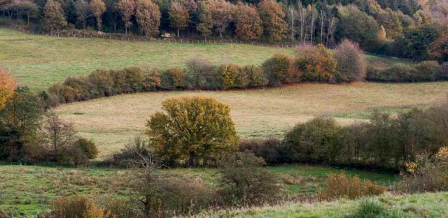 Knick in den Huettener Bergen im Herbst