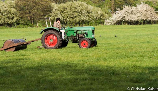 Am Steuer des Traktors sitzt eine Frau sie zieht die schwere Walze über das frische Gras der Pferdeweide.
