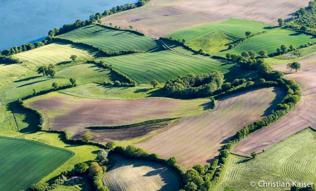 Luftbild von Wiesen und Feldern am hügeligen Ufer eines holsteinischen Sees. 