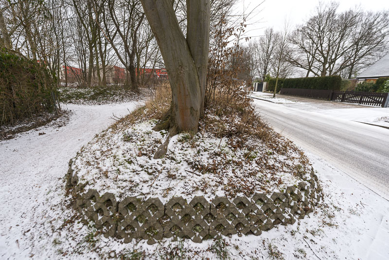 ck-knick-winter-6900