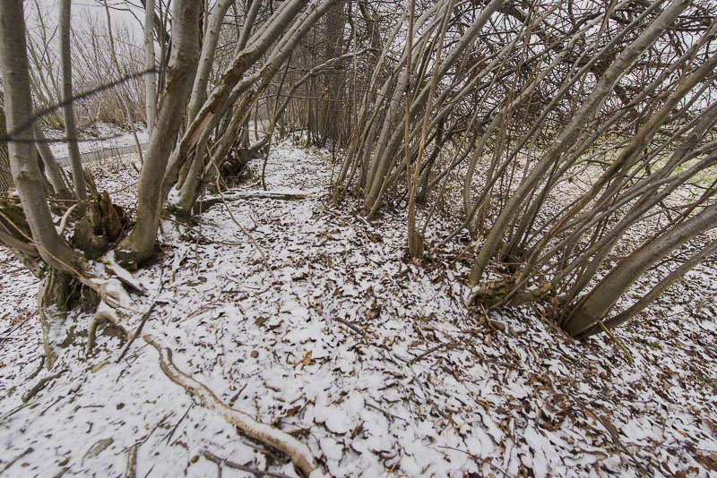 Blick auf den Knickwall