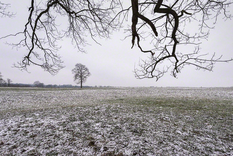 first snow on the meadow