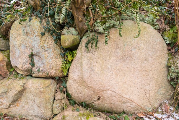 ck-knick-winter-7548