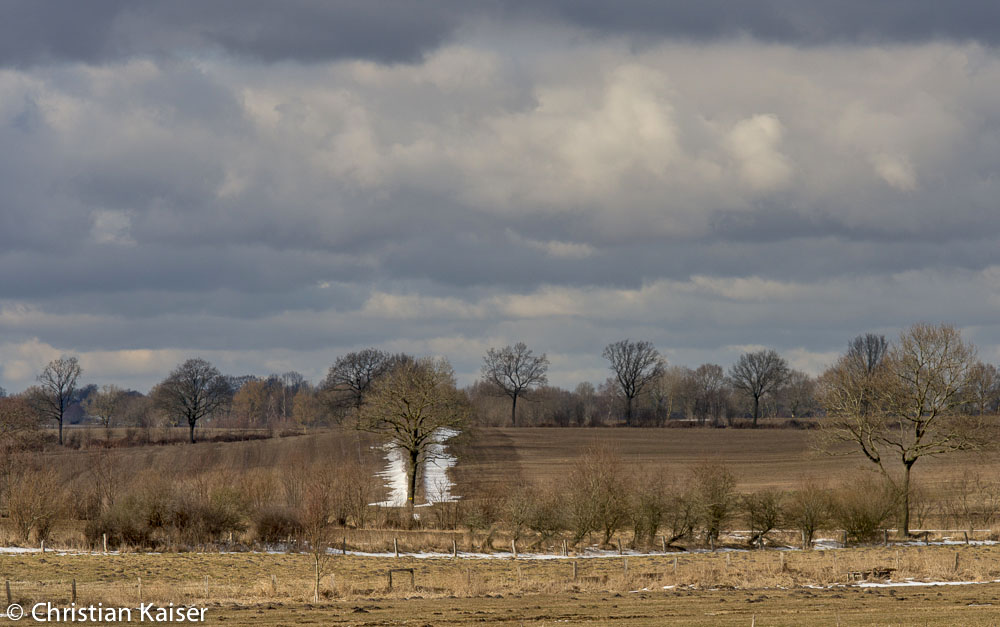 Schneereste an einem Knick auf der Dithmarscher Geest