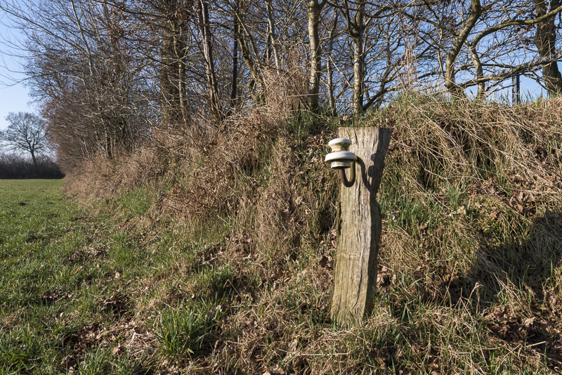 Zaunpfahl mit Isolator am Knickwall