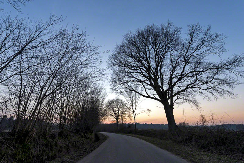 Redder mit Knick und alter Eiche
