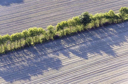 ck_aerial-knick-3577