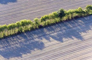 ck_aerial-knick-3577