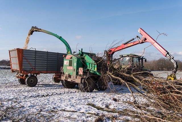 CK_knick_winter-7300