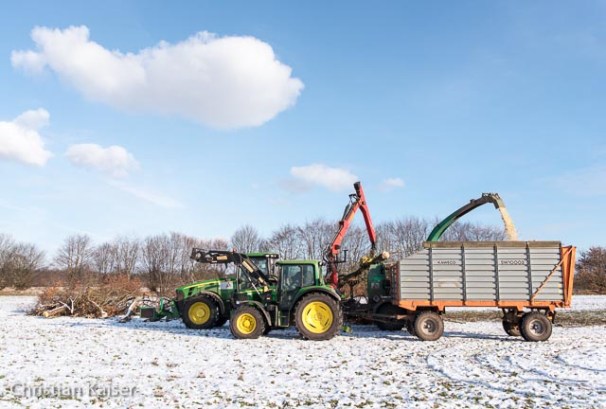 CK_knick_winter-7320