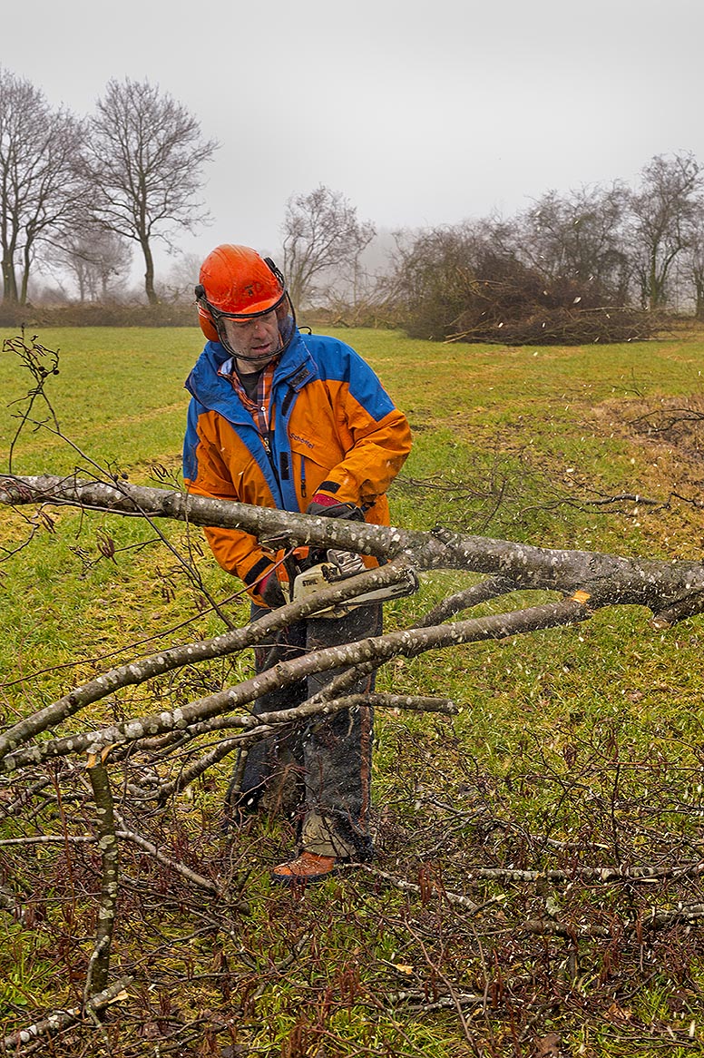 Winterliche Arbeit im Knick des Kattendorfer Hofs