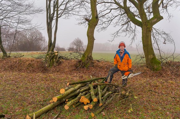 Knickarbeiten am Knick des Kattendorfer Hofs Februar 2017
