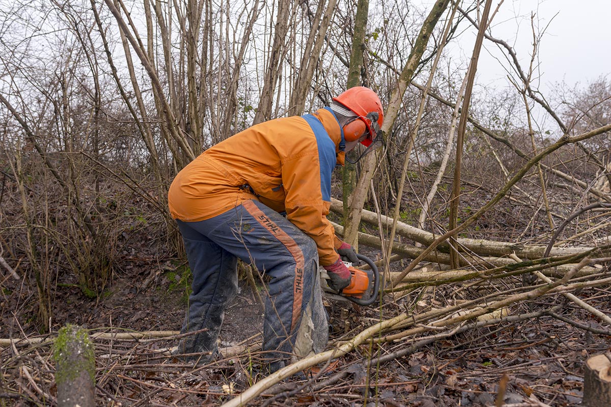 Winterliche Arbeit im Knick des Kattendorfer Hofs