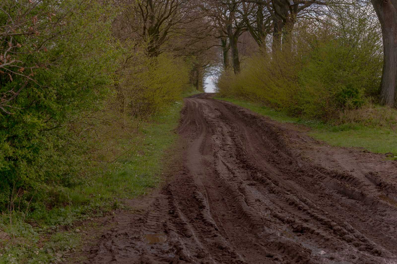 Der Traktor hat den Weg in eine Matschpiste verwandelt.