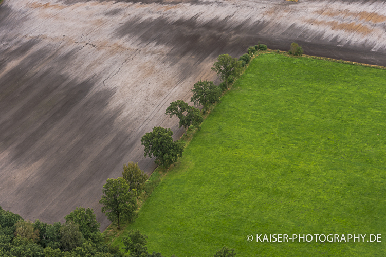 Acker und Gruenland auf der Geest Schleswig Holsteins, werden durch einen Knick mit alten Eichen "Ueberhaelter" genannt, getrennt