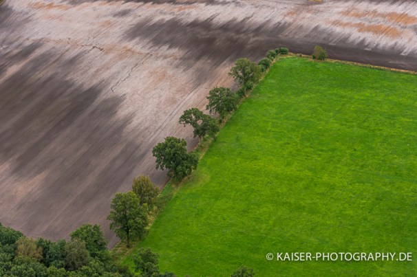Acker und Gruenland auf der Geest Schleswig Holsteins, werden durch einen Knick mit alten Eichen "Ueberhaelter" genannt, getrennt