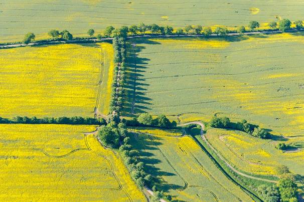 ck_knick-aerial-3013w