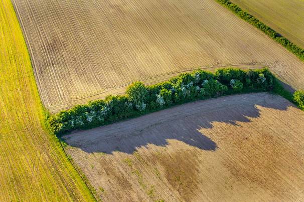 ck_knick-aerial-3337w