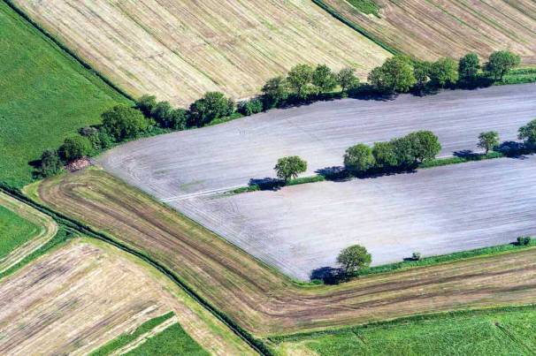 Aerial view on fields an hedges