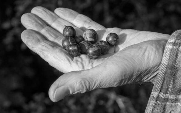 CK_knicks-17421_sw_web