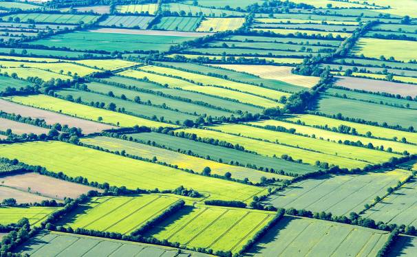 ck_aerial-knick-2732web