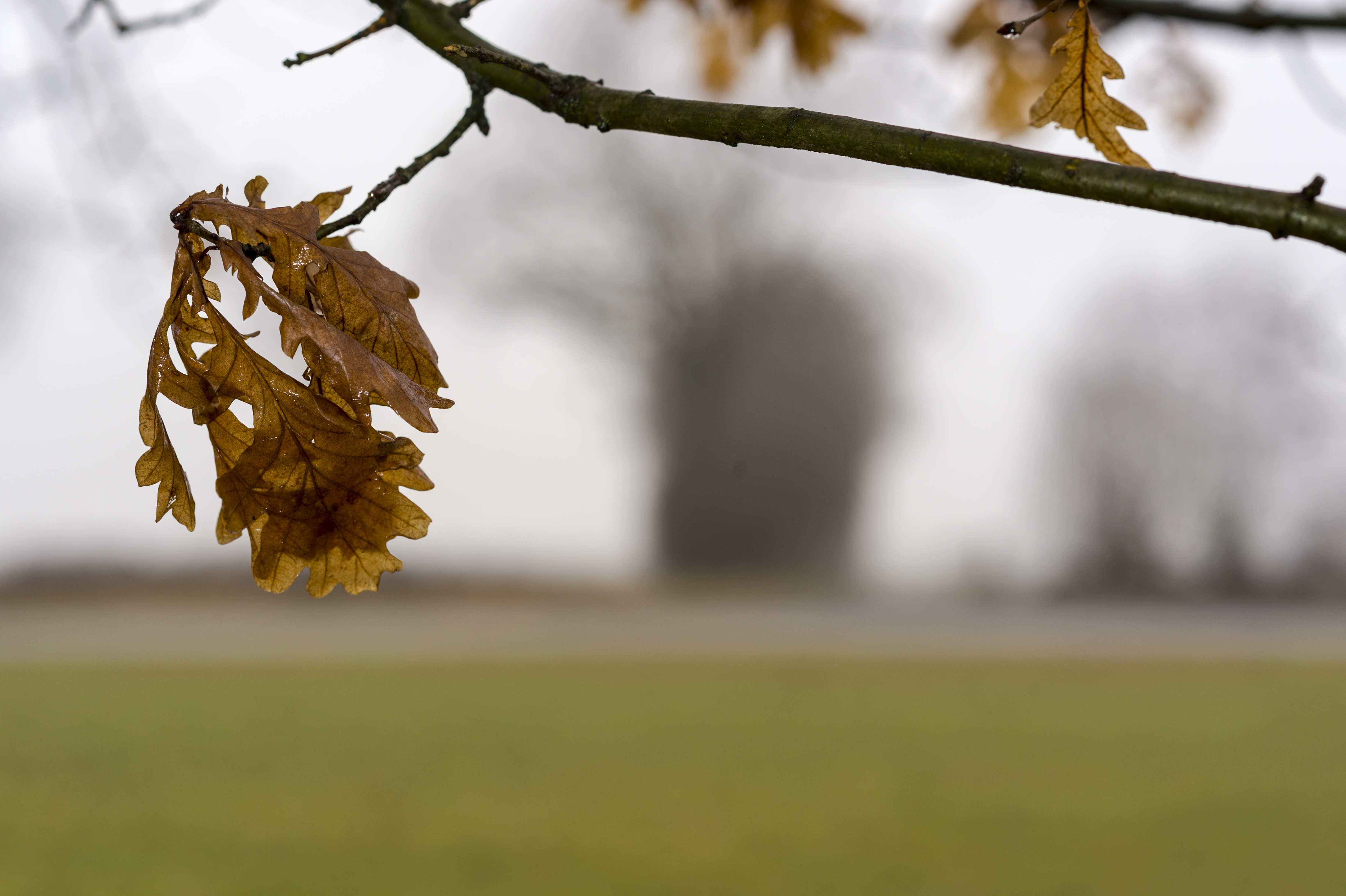 Winterliche Arbeit im Knick des Kattendorfer Hofs