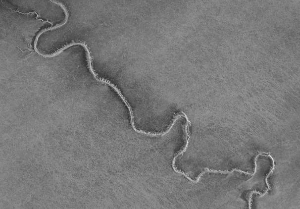 CK_elbe-priel_820as_sw_bc-web