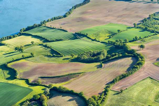 ck_knick_am_see-2914web