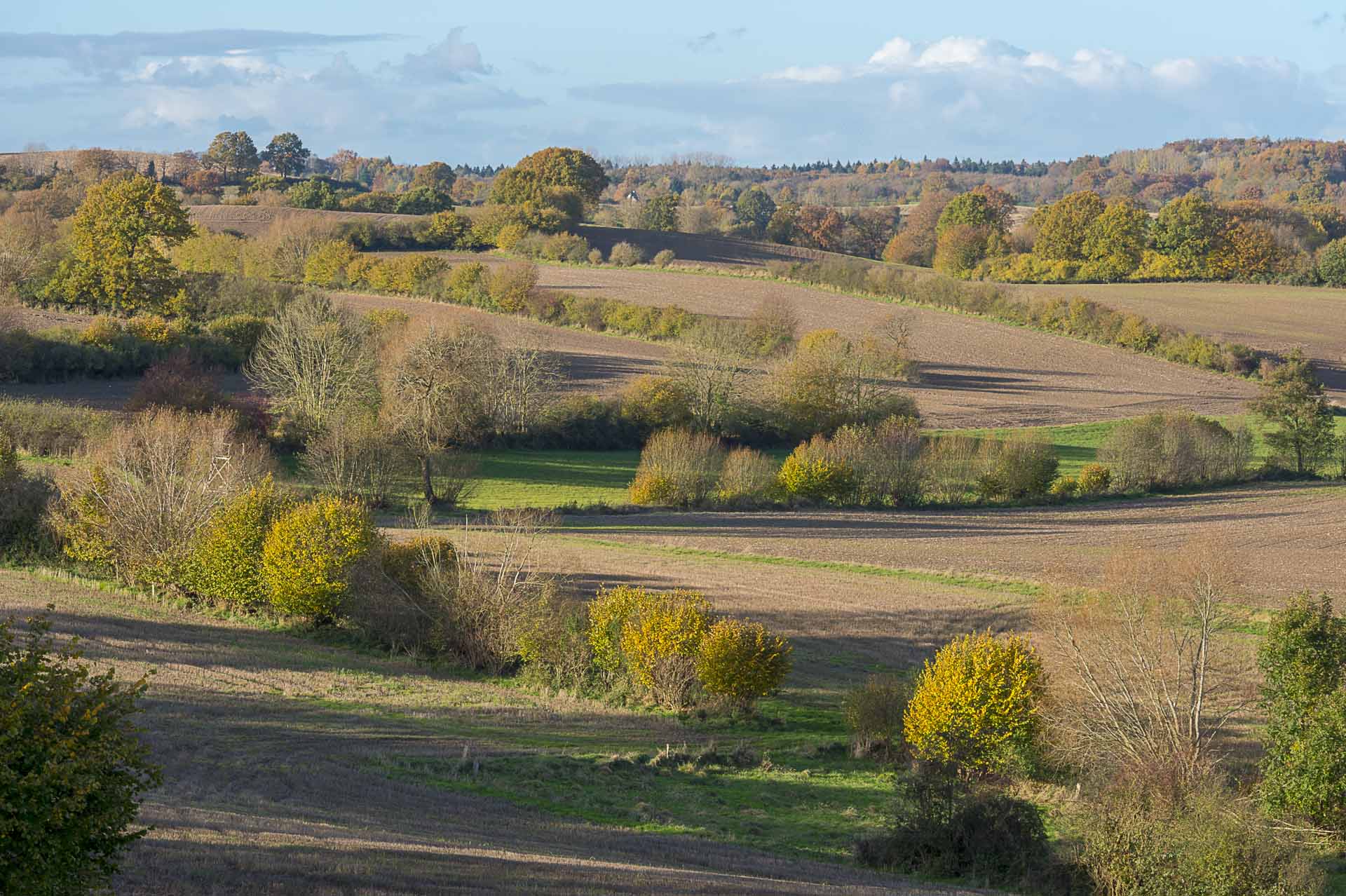 Knicks in Schleswig-Holstein im Herbst. Blick vom Hohen Kuehn bei Bujendorf Ostholstein