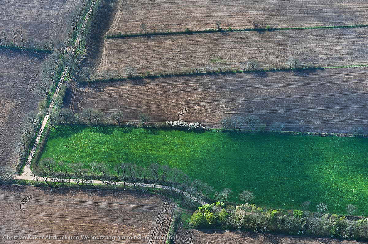 Knicklandschaft im Fruehjahr