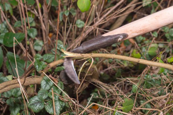 Otto Westphahl,  Altbauer aus Belau in Schleswig-Holstein.