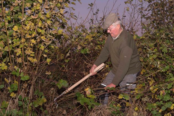 Otto Westphahl,  Altbauer aus Belau in Schleswig-Holstein.