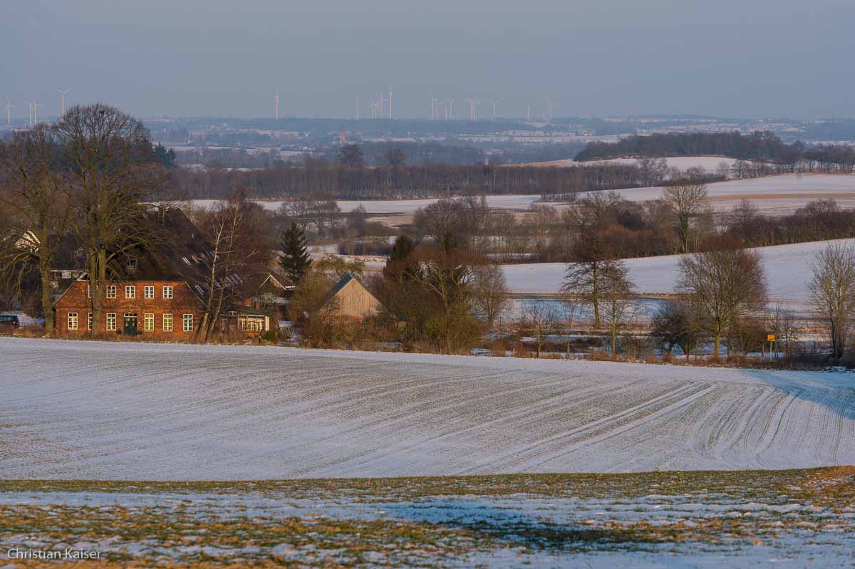 Winterlicher Knick auf verschneitem Feld bei Gömnitz nahe Neustadt OH