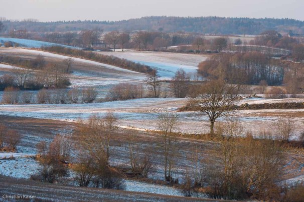 Winterlicher Knick auf verschneitem Feld bei Gömnitz nahe Neustadt OH