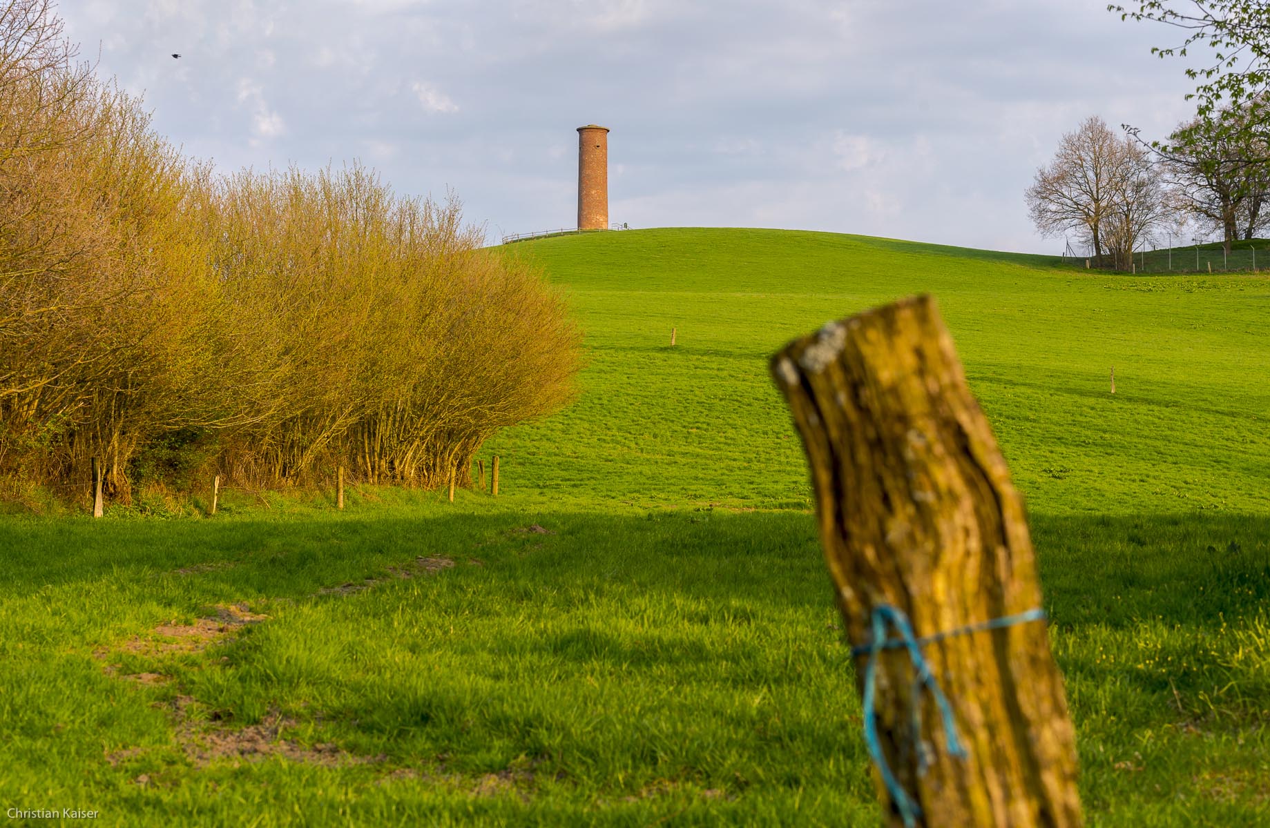 Fence and Hedges in Schleswig-Holstein