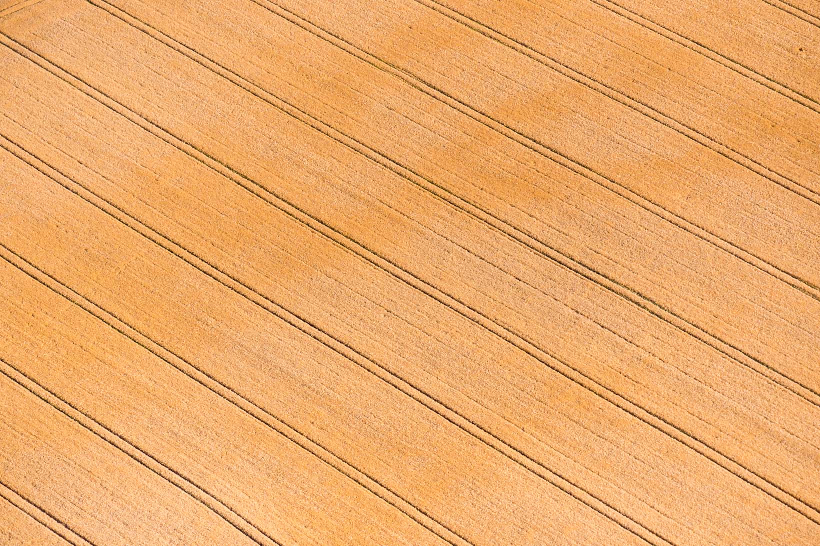 Luftbild von Endmoraenen auf dem Geestruecken