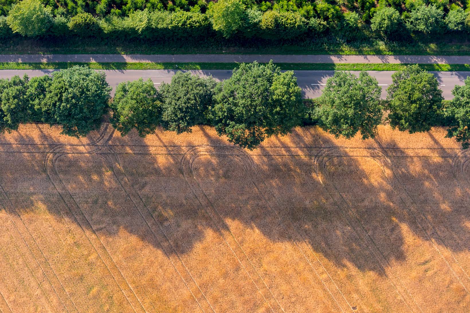 Luftbild von Endmoraenen auf dem Geestruecken