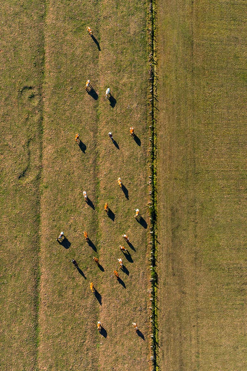 Luftbild von Endmoraenen auf dem Geestruecken