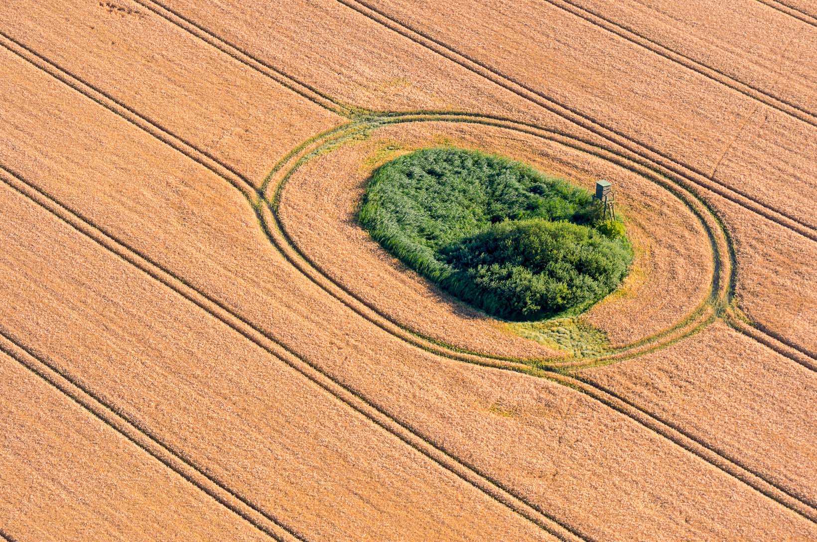 Luftbild von Endmoraenen auf dem Geestruecken