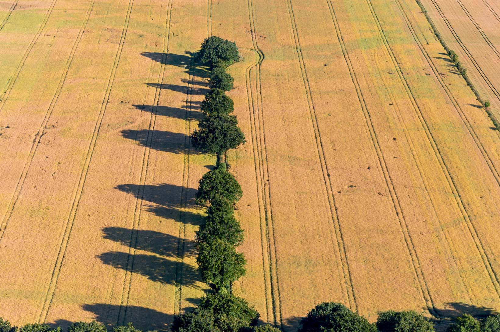 Luftbild von Endmoraenen auf dem Geestruecken