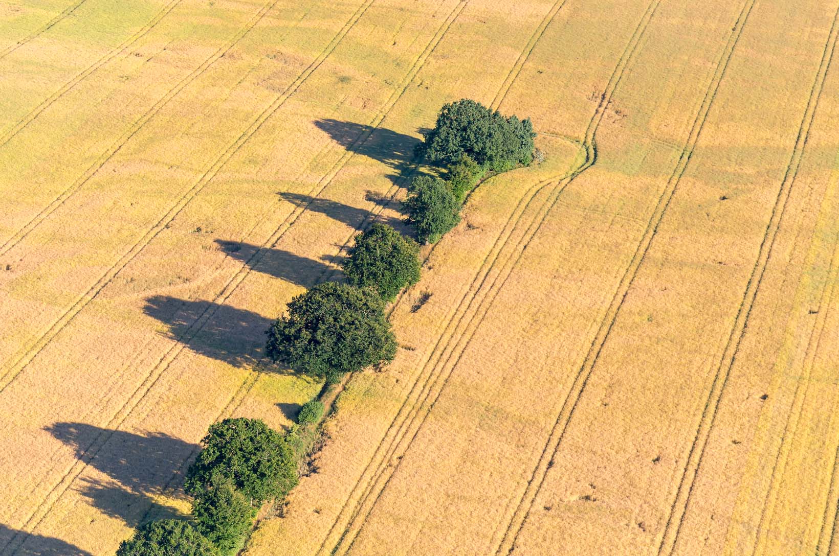Luftbild von Endmoraenen auf dem Geestruecken