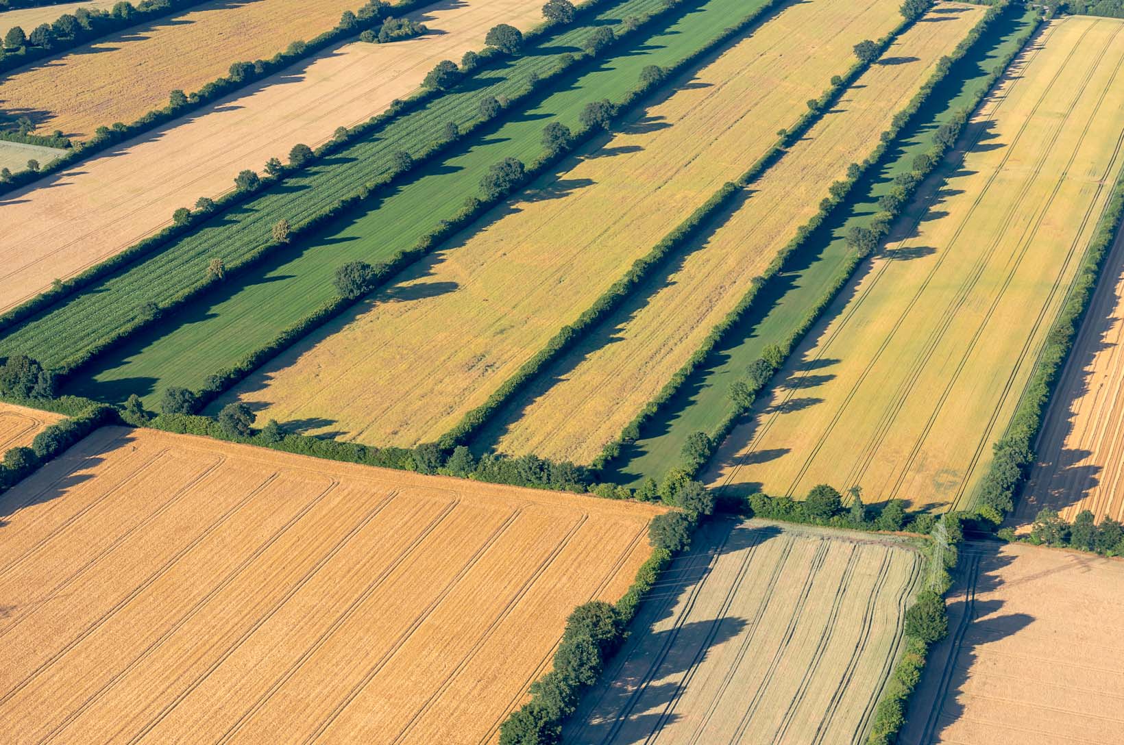 Luftbild von Endmoraenen auf dem Geestruecken