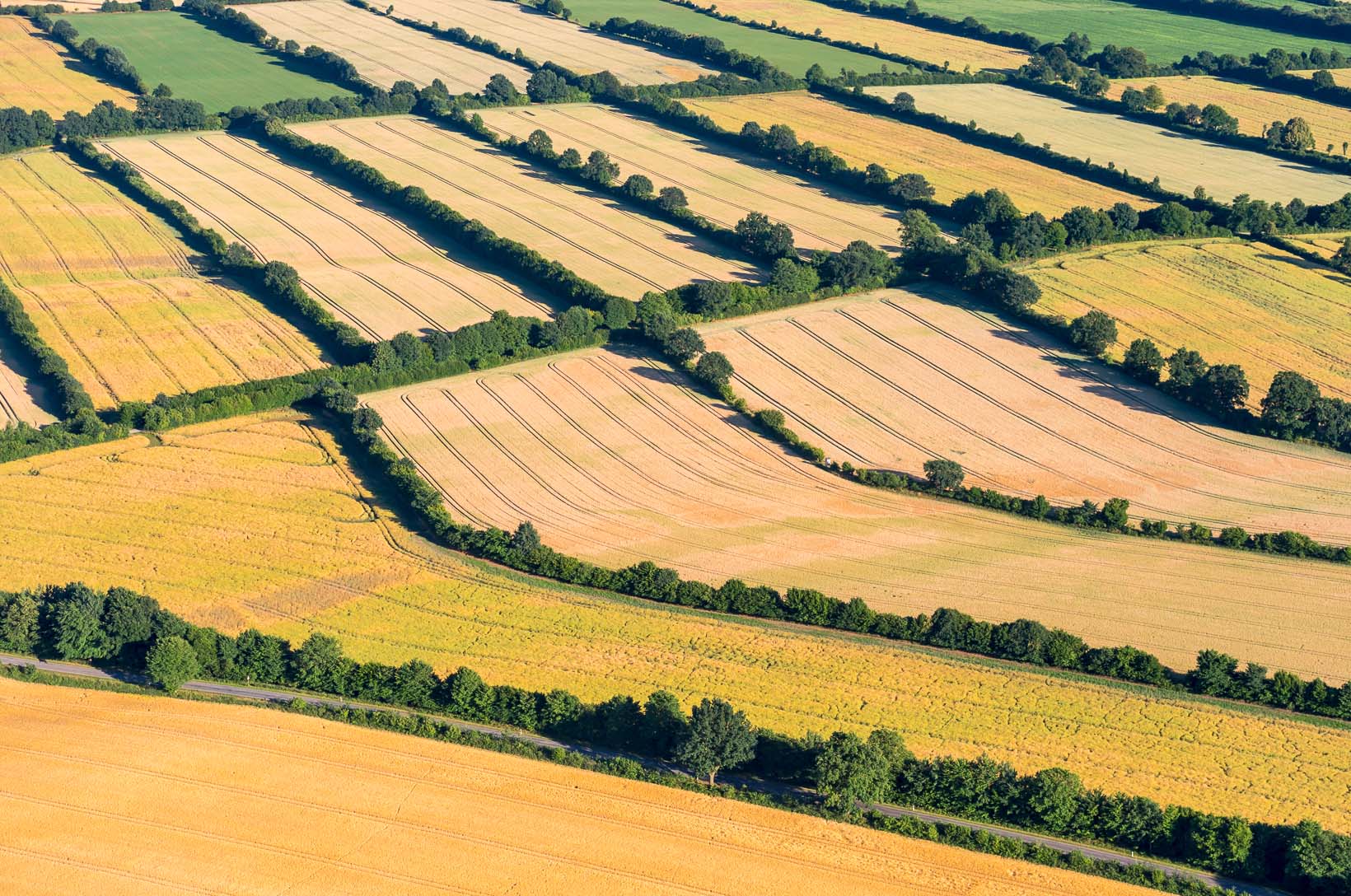 Luftbild von Endmoraenen auf dem Geestruecken