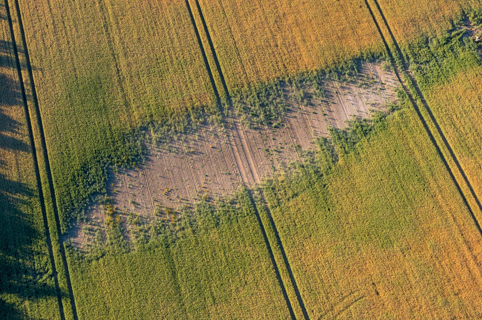 Luftbild von Endmoraenen auf dem Geestruecken