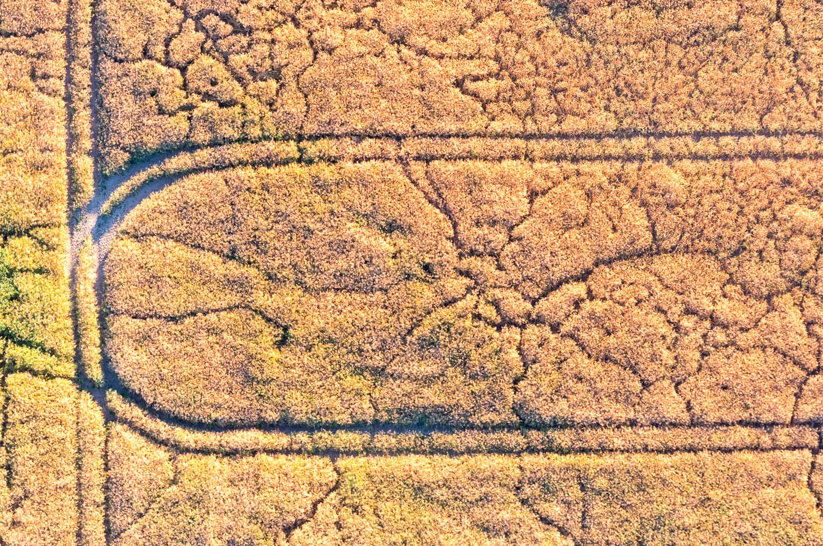 Luftbild von Endmoraenen auf dem Geestruecken