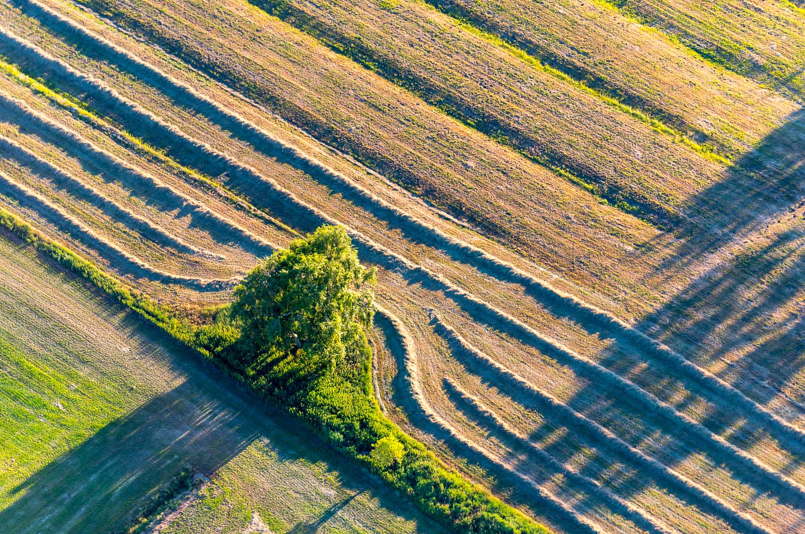 Luftbild von Endmoraenen auf dem Geestruecken