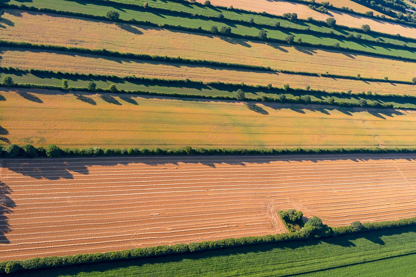 Luftbild Schleswig_Holstein