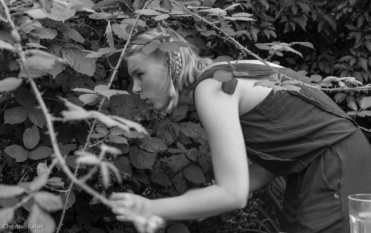 Gartenreich Altona Heimgartenbund