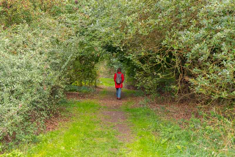 Frau am Knick,hier ein Redder Arche Warder