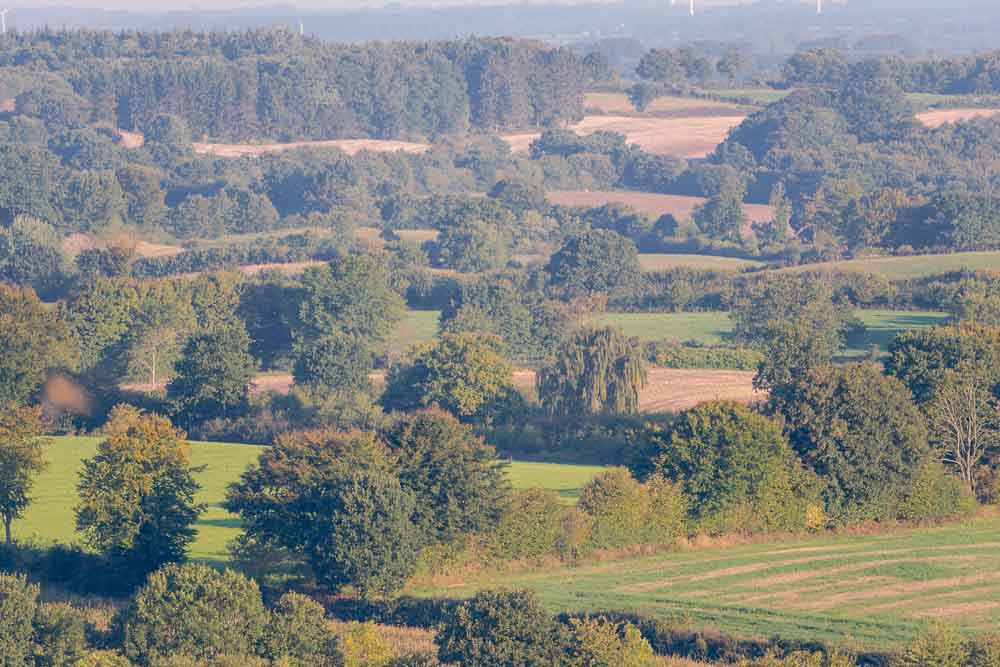 Heckenlandschaft oder Knicks